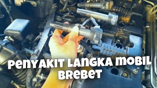 PENYAKIT LANGKA MOBIL BREBET : TERNYATA INI PENYEBABNYA