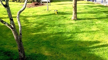 Tamiya Lunch Box shock upgrades 5th shock mod LRP IPC GENERATION+ esc 9 single peak racing