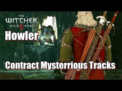 Video: The Witcher 3 - Mysterious Tracks: Wie Man Howler Ködert Und Tötet