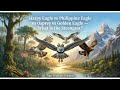 Which eagle is the strongest in the world? Harpy Eagle vs Philippine Eagle vs Osprey vs Golden Eagle