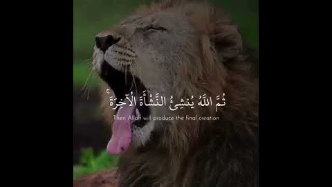 آيات قرآنيه تجعلك تتفكر في عظمة الخالق سبحانه