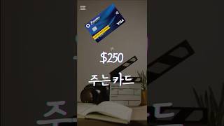 $250 주는 미국 카드