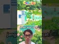 🦘 Loncat Batu-Batuan & Air - Panjang Nih! ✨
