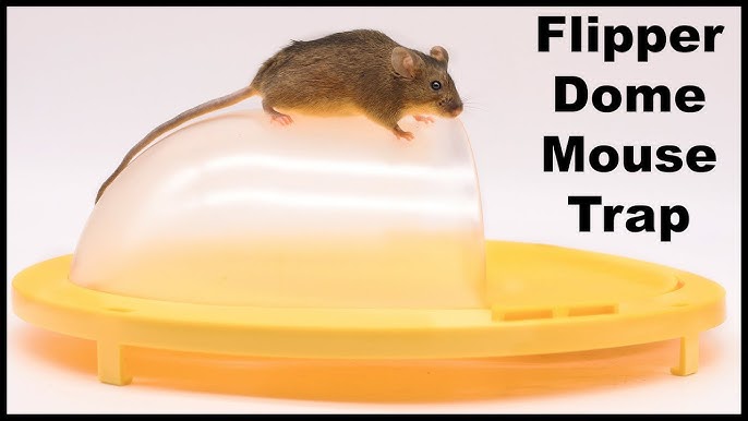 Bucket Lid Mouse Rat Trap, Lid For 5 Gallon Bucket Auto Reset Flip