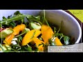 Perfekt für den - Sommer Mango-Rucola-Salat  - Salat zubereiten leicht gemacht