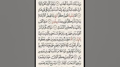 تلاوة من سورة الرعد بصوت الشيخ حسين عشيش.. برواية السوسي عن أبي عمرو البصري