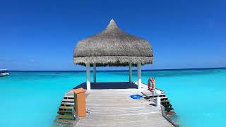 Thulhagiri Malediven Maledives Insel Rundgang Juli 2023 Beachbungalow 133   4K