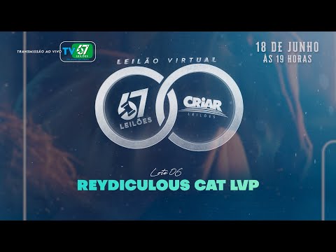 06   REYDICULOUS CAT LVP