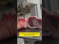 Food Cutting Band Saw Blade Supplier | Meat Bone Bread Cutting | Factory Direct