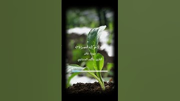 سورة غافر بصوت الفارئ محمد صديق المنشاوي