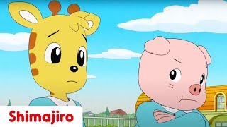 Sometimes You Just Have to Say Sorry... 💫 | Kindergarten | Kids videos for kids | Shimajiro