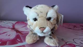 SOS / Save Our Space Clouded Leopard Plush Review
