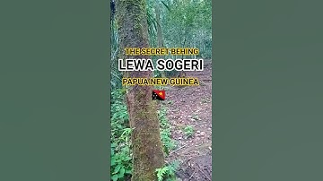 The secret behind the song  | lewa SOGERI  | papuanew guinea  | 😲🇵🇬    | #lewa #sogeri #rkbagatsing