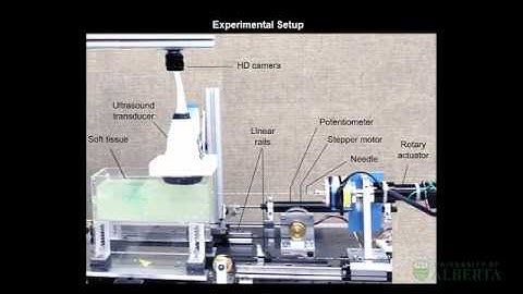 A Two-body Rigid/Flexible Model of Needle Steering Dynamics in Soft Tissue