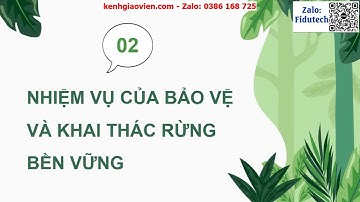 Giáo án PowerPoint Bài 6: Ý nghĩa, nhiệm vụ của... | GA điện tử Công nghệ lâm nghiệp 12 cánh diều