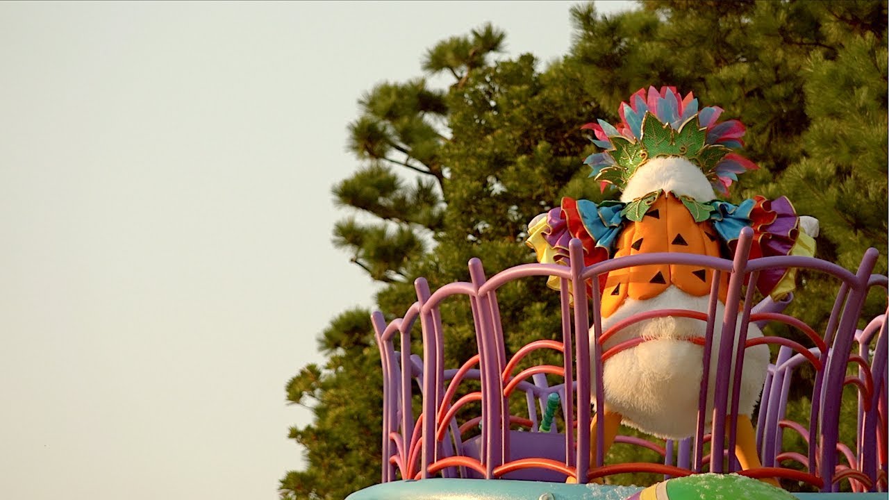 【ご自由にどうぞ】ドナルドの動画素材（ポップン2017 9月30日 TDL）