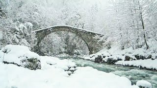 Snowfall in the Forest | Winter Snowing for Relaxation, Sleep, Composure | Natural White Noise by Relaxing Music & Sounds 88 views 2 years ago 10 hours