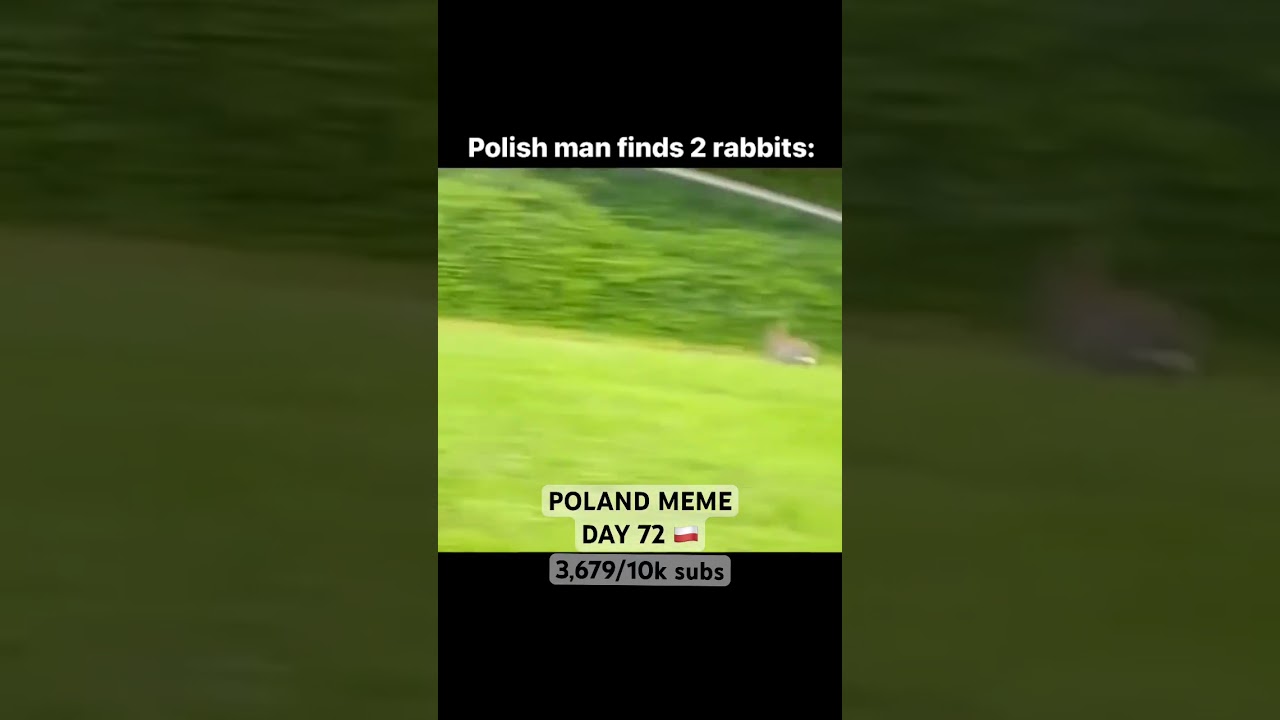 KRULIK 🗣️😂🇵🇱🐰 