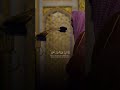 يا ايها الناس انتم الفقراء الى الله أحمد بن طالب  99 قرآن  راحة نفسية 
