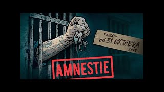 دانلود زیرنویس فیلم Amnestie 2019 - بلو سابتايتل