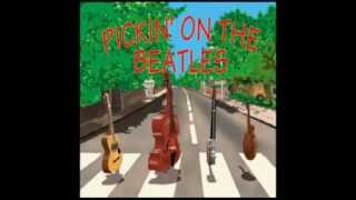 Video thumbnail of "Norwegian Wood - Pickin' On the Beatles"