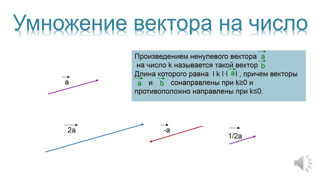 Вектор параллелен оси