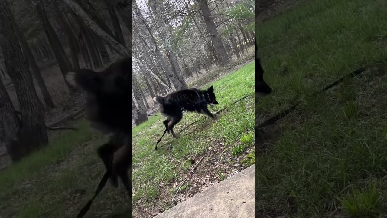 He’s such a derp 😂 