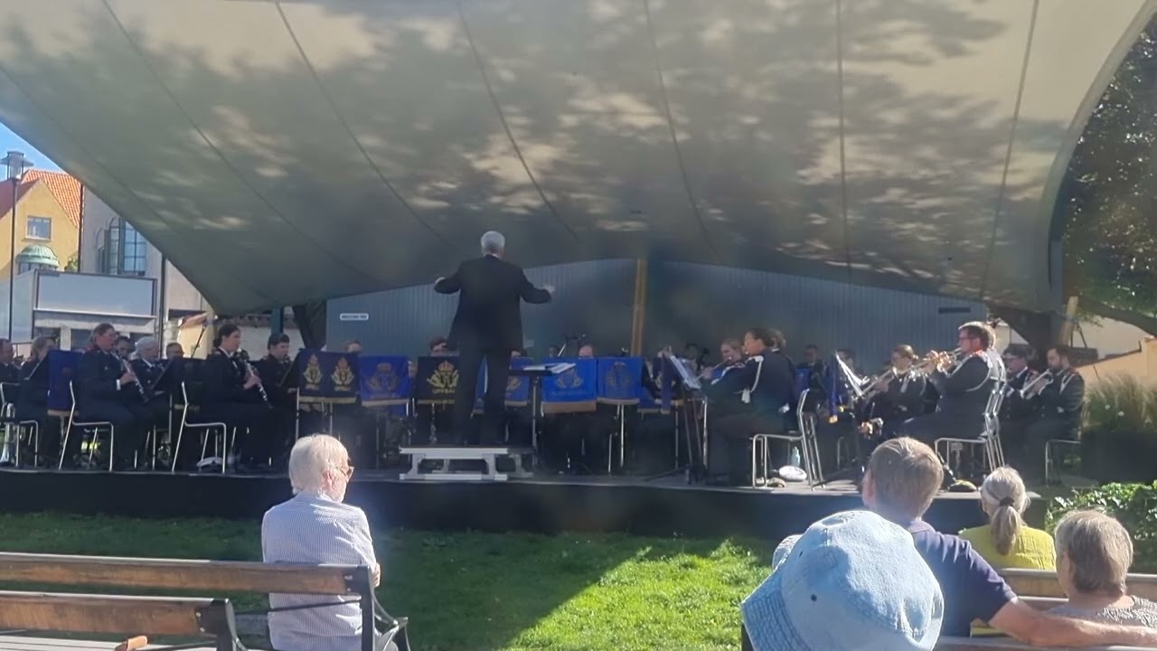 Under blågul fana 20250810