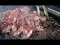 Huge Burgers, Loads of Bacon and Cheese. London Street Food