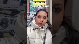 কানাডাতে বরফ কেটে রাস্তা তৈরি হয় কীভাবে | Extreme cold weather Canada #banglavlog #minivlog #yt