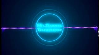 Mr. Zoombee - Thunderbolt