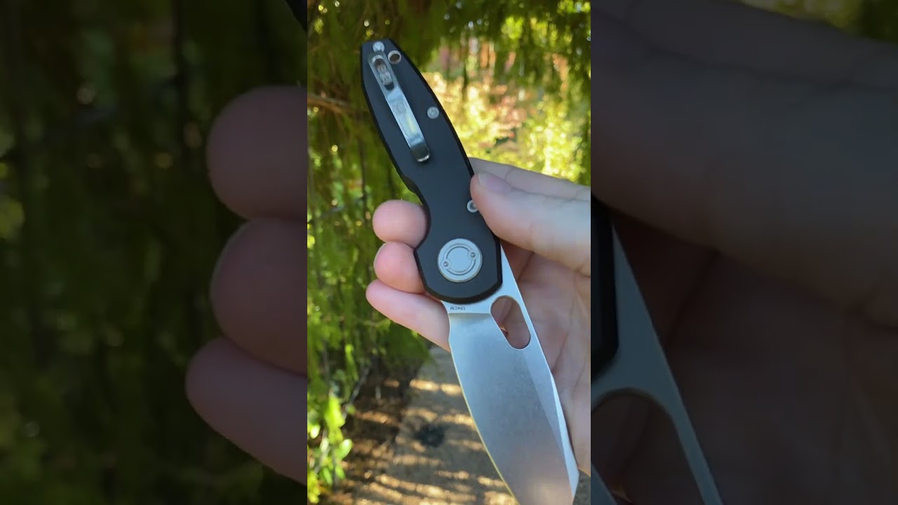 Dinosaur On The Loose 🦖🔪 Vosteed Ankylo 