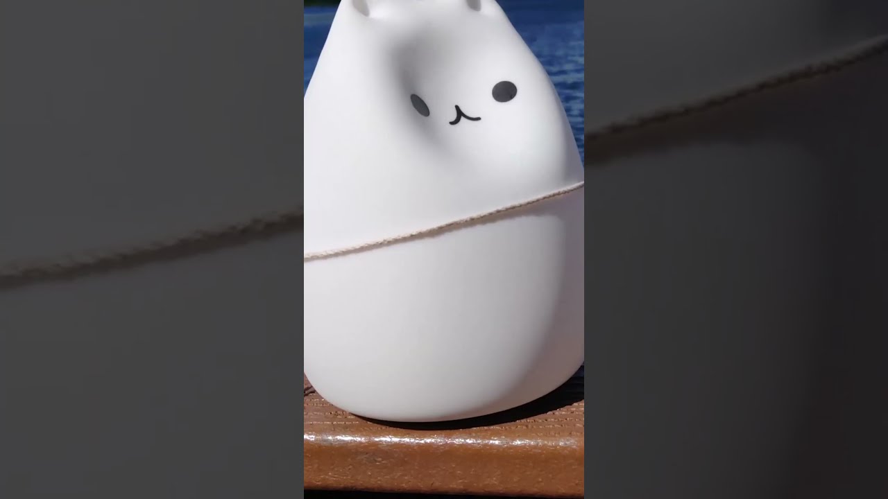 Eggcat Goes For A Walk