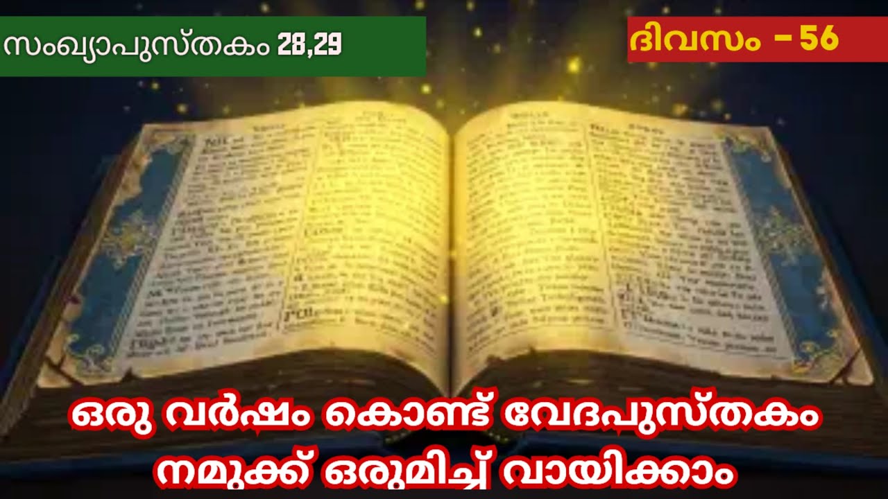 365 Day Bible Reading Malayalam | Day 56 | Numbers 28,29  | The Bible in a Year