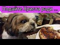 Один день из моей жизни. Кормлю коров. Готовим  ,,хлебное дерево,,.Муж готовит ужин.