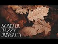 Soulful jazzy jungle dnb mix 3 (Autumn Leaves A) 164 BPM