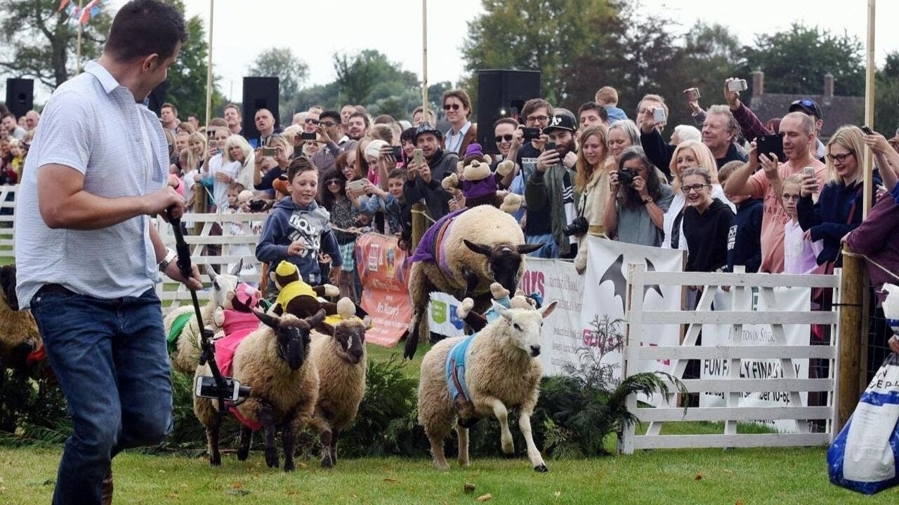 15.09.2019 // Sheep Racing and Family Fun @ Frampton Park | The Vlog ...