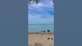 Hayang Jalan jalan ke Waduk Malahayu,Lagu Sunda Brebes Bollywood 