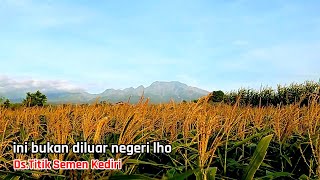 alamnya indah warganya ramah || desa titik semen kediri
