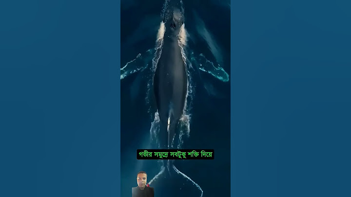 নীল তিমির মৃত্যুর পর বিস্মকরভাবে যা ঘটে 🥺 #mayajaal #unkonwnfacts