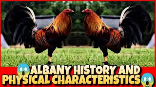 THE ALBANY HISTORY AND PHYSICAL CHARACTERISTICS.