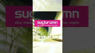 【SUGIURUMN】アルバム『Our history is made in the night』配信解禁！#clubmusic #housemusic