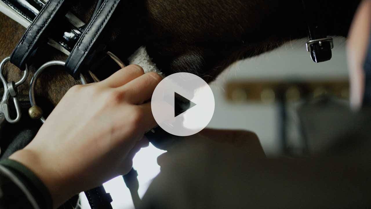 Malgré Tout - In spite of everything