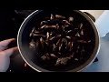 Moluscos : limpiar y  cocer mejillones
