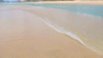 Mr Einstein is Wrong + What DNA is for ~ Prashant Trivedi