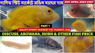 Discuss, Arowana, Horn & Other Fish Price|সস্তা একুয়ারিয়াম মাছের হাট | Galiff Street Market|21/04/24 by AMAR 2020 1,216 views 2 days ago 8 minutes, 1 second