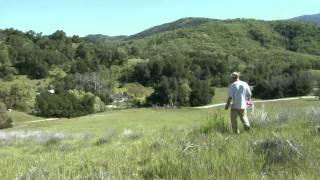 Studying the reproductive ecology of valley oaks in california.
series: "uc natural reserve system" [6/2011] [science] [show id:
21297]