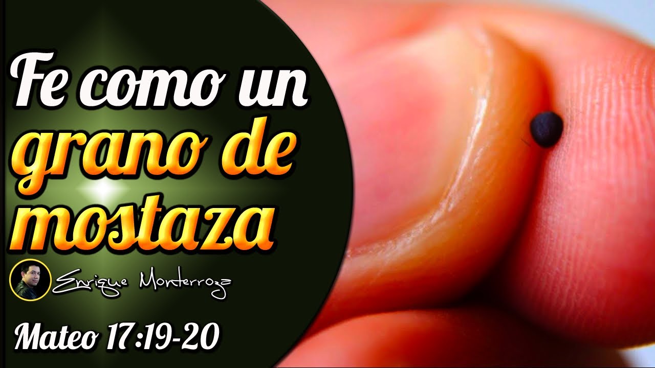 Fe como un grano de mostaza YouTube Fe como un grano de mostaza YouTube