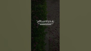 هو الذي أنزل السكينة في قلوب المؤمنين ليزدادوا إيمانا || القارئ: عبد الله الخلف