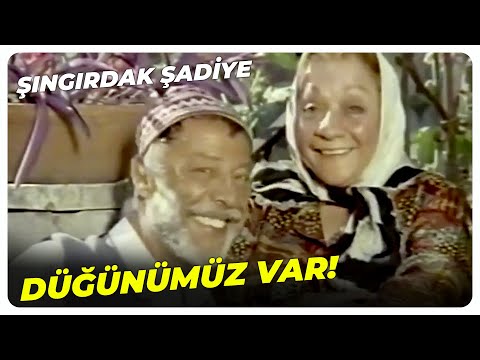 Toplanın Millet Düğünümüz Var! | Münir Özkul Adile Naşit Eski Türk Filmi
